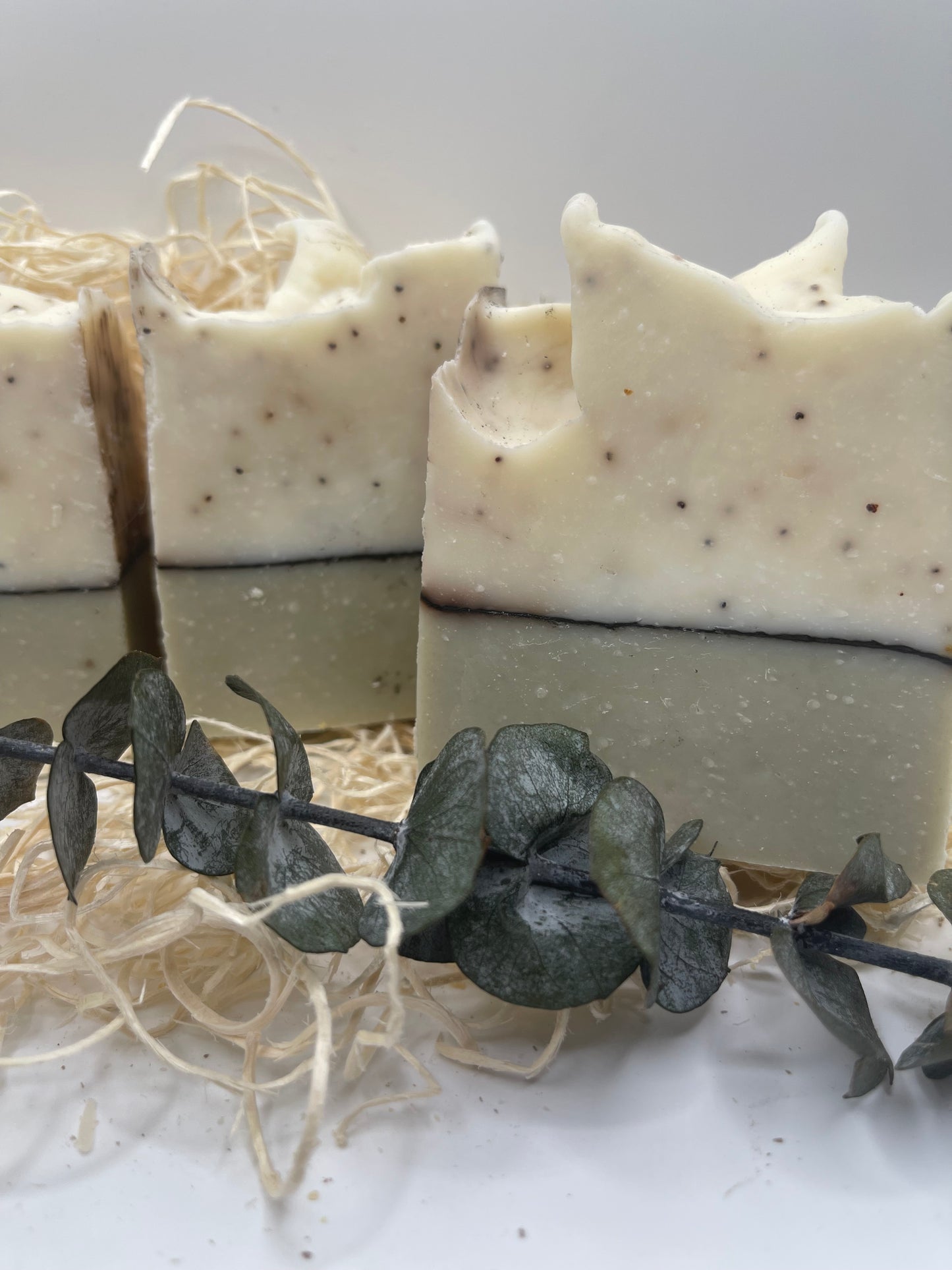 Eucalyptus & Chocolate Chip - Body Bar