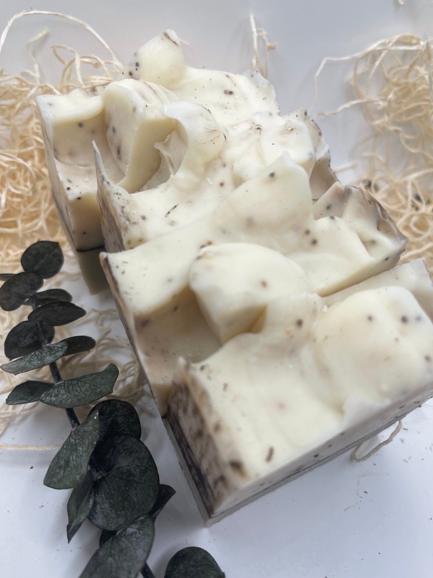 Eucalyptus & Chocolate Chip - Body Bar