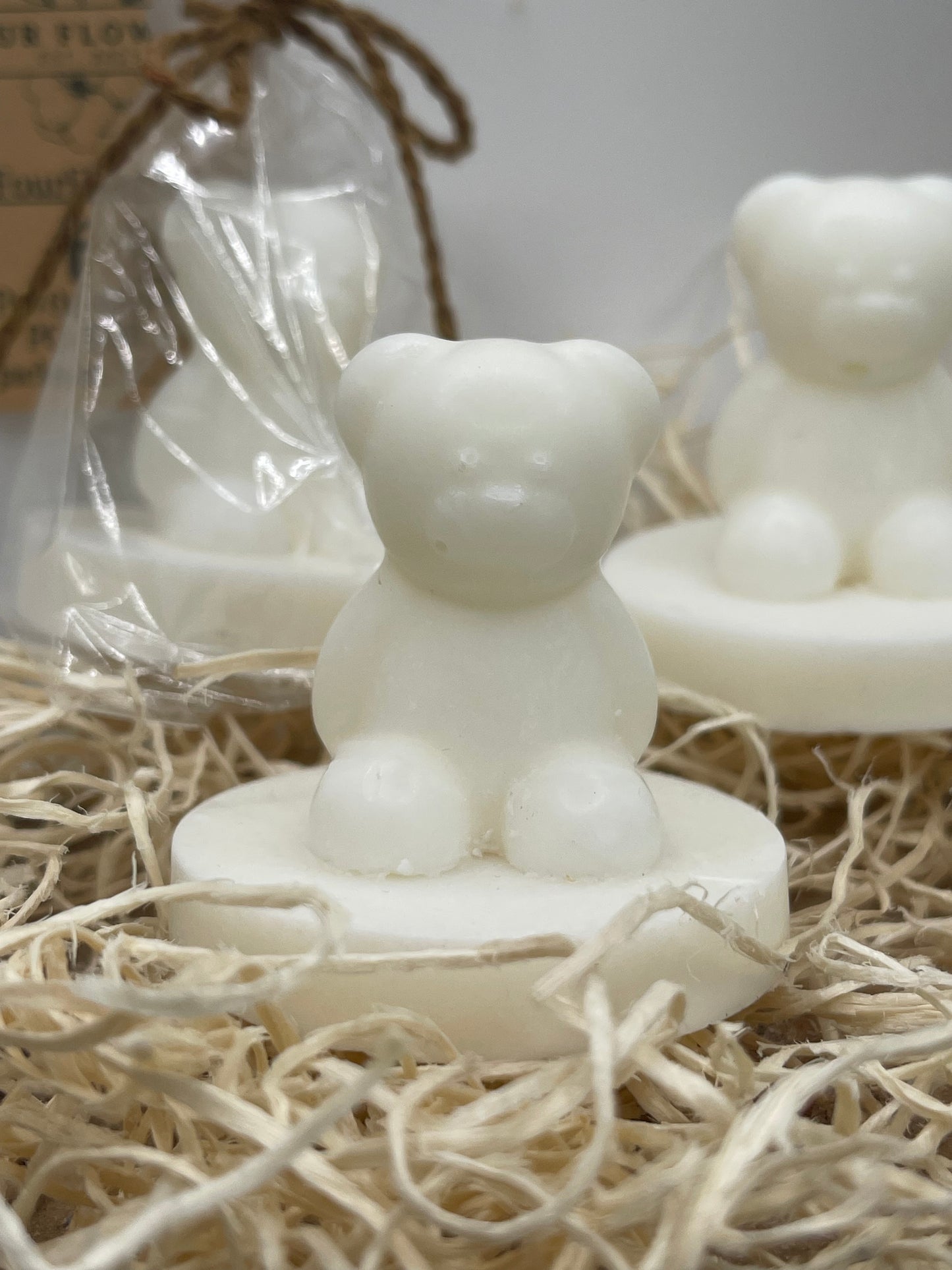 Beary Love Newborn Gift Bar