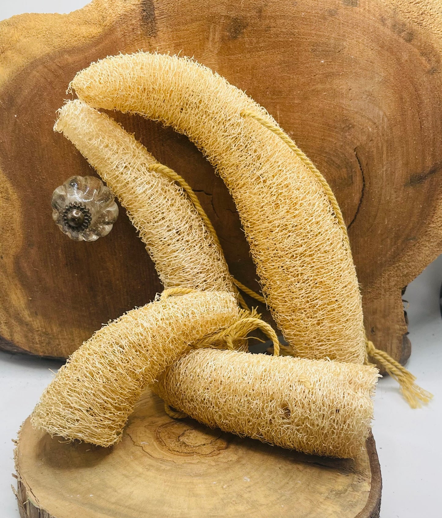 Homegrown Luffa Sponge