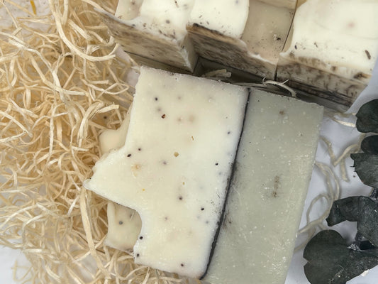 Eucalyptus & Chocolate Chip - Body Bar